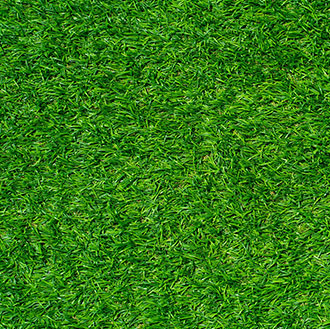 Commercial Turf